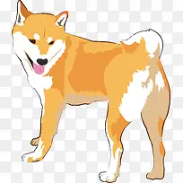 可爱柴犬动物设计-空若网 可爱柴犬动物设计-空若网