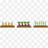 土地里的蔬菜-空若网 土地里的蔬菜-空若网