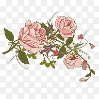 ʸ����ɫ���仨��-������