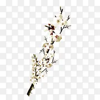 淡雅鲜花-空若网 淡雅鲜花-空若网