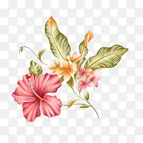 花朵插画-空若网 花朵插画-空若网