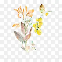 油菜花插画-空若网 油菜花插画-空若网