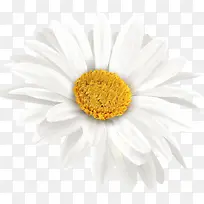 ��ů������ɫ���տ�-������