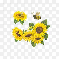 向日葵和小蜜蜂的插画-空若网 向日葵和小蜜蜂的插画-空若网