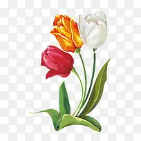 ˮ��������-������