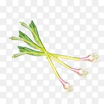 �ֻ�������ɫʳ�����-������