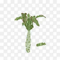 手绘水彩插画莴笋-空若网 手绘水彩插画莴笋-空若网