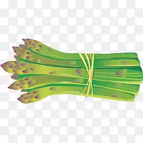 蔬菜芦笋矢量-空若网 蔬菜芦笋矢量-空若网