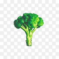 西兰花-空若网 西兰花-空若网