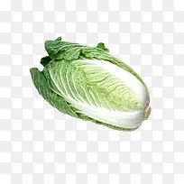食物图标蔬菜矢量图 清新白菜-空若网 食物图标蔬菜矢量图 清新白菜-空若网