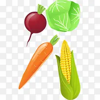 圆白菜玉米萝卜PNG矢量素材-空若网 圆白菜玉米萝卜PNG矢量素材-空若网