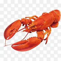 卡通简约美食装饰广告设计龙虾-空若网 卡通简约美食装饰广告设计龙虾-空若网