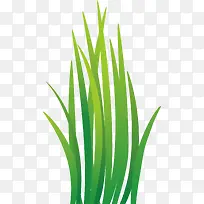 绿色的绿色生长小草-空若网 绿色的绿色生长小草-空若网