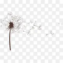 �ѹ�Ӣ����-������