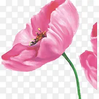 花卉油画-空若网 花卉油画-空若网