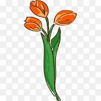 手绘卡通郁金香-空若网 手绘卡通郁金香-空若网