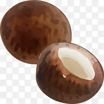 水彩椰子水果设计-空若网 水彩椰子水果设计-空若网