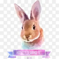 矢量彩绘兔子-空若网 矢量彩绘兔子-空若网