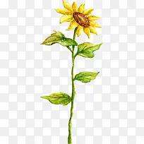 ���տ�����羰ˮ�ʻ�-������