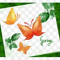 春天蝴蝶飞插画-空若网 春天蝴蝶飞插画-空若网