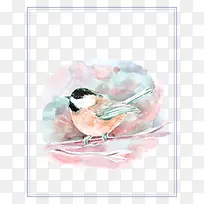 水彩小鸟-空若网 水彩小鸟-空若网