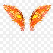 燃烧的翅膀-空若网 燃烧的翅膀-空若网