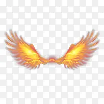 火焰 翅膀 炫酷 特效-空若网 火焰 翅膀 炫酷 特效-空若网
