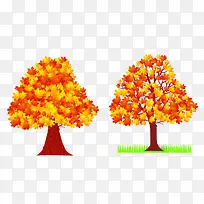 两棵枫叶树-空若网 两棵枫叶树-空若网