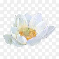 彩铅手绘白莲-空若网 彩铅手绘白莲-空若网