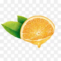 ˮ��Ҷ��ͼ��-������