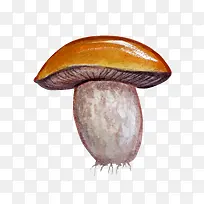 手绘香菇-空若网 手绘香菇-空若网