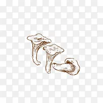 Ģ��-������