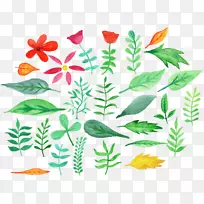 »¨Ò¶Ë®²Ê»»¨»ÜÉè¼Æ-¿ÕÈôÍø »¨Ò¶Ë®²Ê»»¨»ÜÉè¼Æ-¿ÕÈôÍø