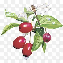 水果矢量图草莓-空若网 水果矢量图草莓-空若网