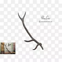 ¹������-¹��-������