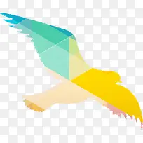 ��ɫ�����ֻ�����-������