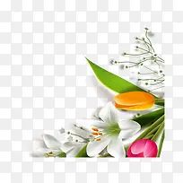 手绘百合-空若网 手绘百合-空若网