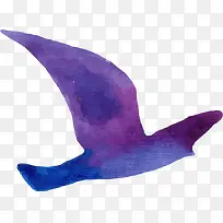 紫色鸽子-空若网 紫色鸽子-空若网