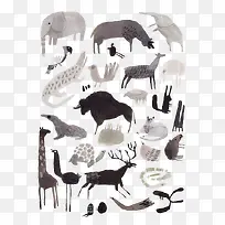 动物-空若网 动物-空若网