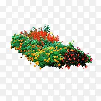 ���ݿ�ȸ��-������