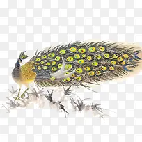 水彩古风孔雀水草-空若网 水彩古风孔雀水草-空若网