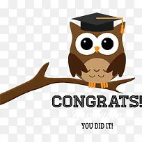 矢量猫头鹰树枝-空若网 矢量猫头鹰树枝-空若网