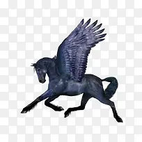 ��ɫ����-������