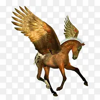 手绘天马-空若网 手绘天马-空若网