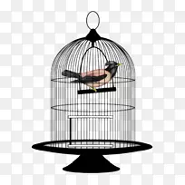 ������������-����-������