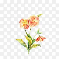 �����ֻ�-������