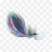 手绘彩色羽毛-空若网 手绘彩色羽毛-空若网