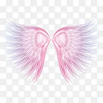 七彩手绘羽毛-空若网 七彩手绘羽毛-空若网