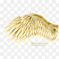 翎羽-空若网 翎羽-空若网