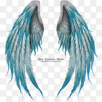 ����-������